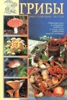 Грибы российских лесов артикул 11984b.